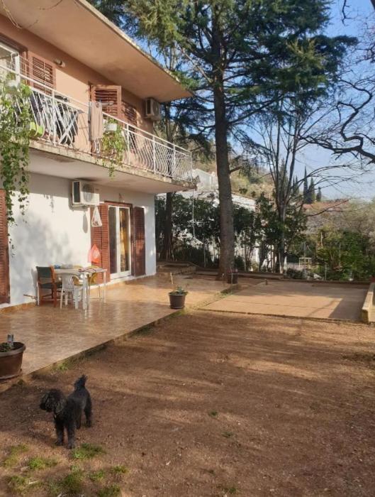 Gostinjska kuća Trokrevetna Soba Sa Zajednickim Kupatilom Budva